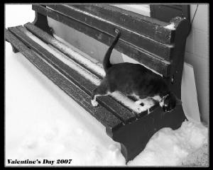 day14rusty_snow_6003edit2.jpg