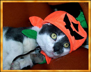 day30_pumpkin_head_4275edi.jpg