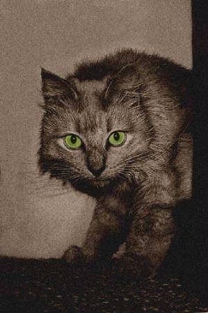 day30kit_6710edit2spooky.jpg