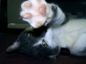 day_15no_pictures_please_.jpg