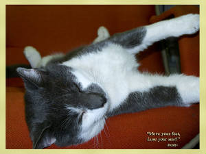 day_23move_your_feet_4019e.jpg