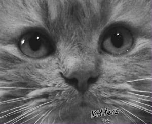 kit_0724crop_desat_txt.jpg