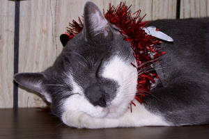 rusty_tinsel_4928edited.jpg